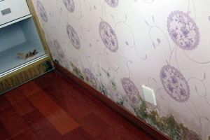 [广州木森装饰公司]室内墙面发霉是什么原因引起的