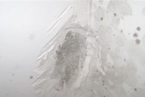 [远景装饰]刮腻子刷墙五大步骤 如何做好墙面油漆施工
