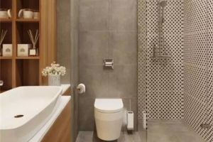 [琼楼装饰]卫生间干湿分离设计类型 常见的四种干湿分离浴室设计