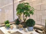 [上海万创空间装饰]绿植在办公室装修中重要性，早知道！