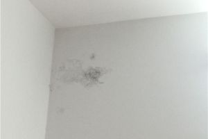 [遵义典范装饰]房屋墙壁渗水发霉怎么办？先分析渗水原因
