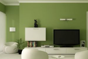 [长沙邻家装饰]电视墙设计效果图赏析 电视墙设计颜色搭配