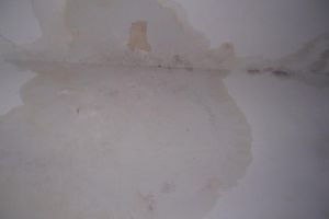 [上海阆臻装饰]墙面为什么会渗水 墙面渗水了怎么办？