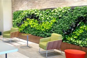 [深圳和空间装饰]室内植物墙施工原则 室内植物墙制作方法