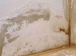 [上海玖隆装饰]墙面泛碱怎么处理 墙面泛碱有什么危害