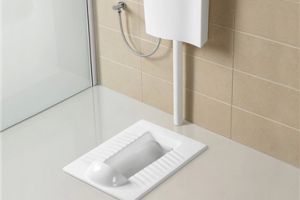 [沈阳龙发装饰]农村改厕蹲便器简单方法 厕所改装注意事项