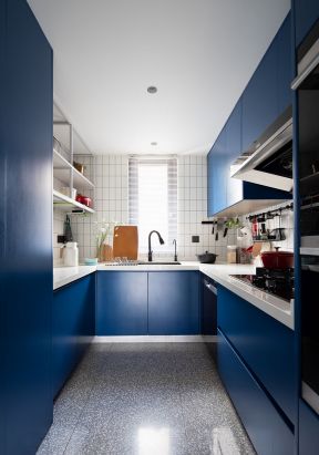 蓝色橱柜效果图 厨房橱柜颜色效果图