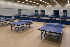 乒乓球室pvc地板