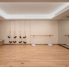 大宅别墅家庭舞蹈房装修设计效果图-每日推荐