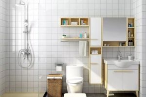 [星艺装饰]卫生间小如何设计，小卫生间设计技巧