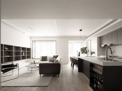 黑白简约风格开放式客厅厨房设计图片