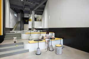 [杭州易空间装饰]宠物咖啡店，一个宠物和主人同时社交的场所 | 易设计 YI SPACE