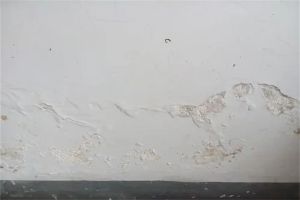 卫生间墙缝渗水怎么办