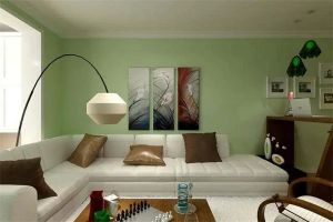 [杭州罗盛装饰]客厅适合刷什么颜色的乳胶漆