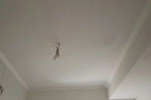[上海欧雅装饰]家装吊顶开裂的主要原因是什么？