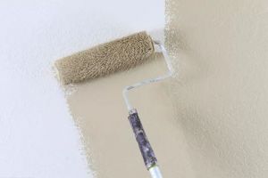 [上海星杰装饰]墙面装饰材料：墙纸、乳胶漆、硅藻泥怎么选？