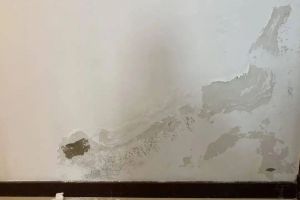 [佛山沃美居装饰]墙面掉漆的原因及处理方法