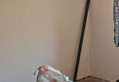 关家苑