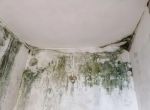 [河北紫苹果装饰]家里墙面渗水、发霉怎么办？有什么好办法解决吗？