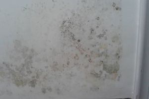 [厦门盛古装饰公司]墙面渗水发霉的常见原因及解决方法