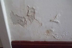 [达州景润装饰公司]卫生间墙面渗水的原因及解决办法