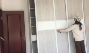 畔山林语大平层