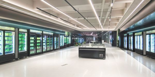 办公楼现代风格5000㎡设计方案