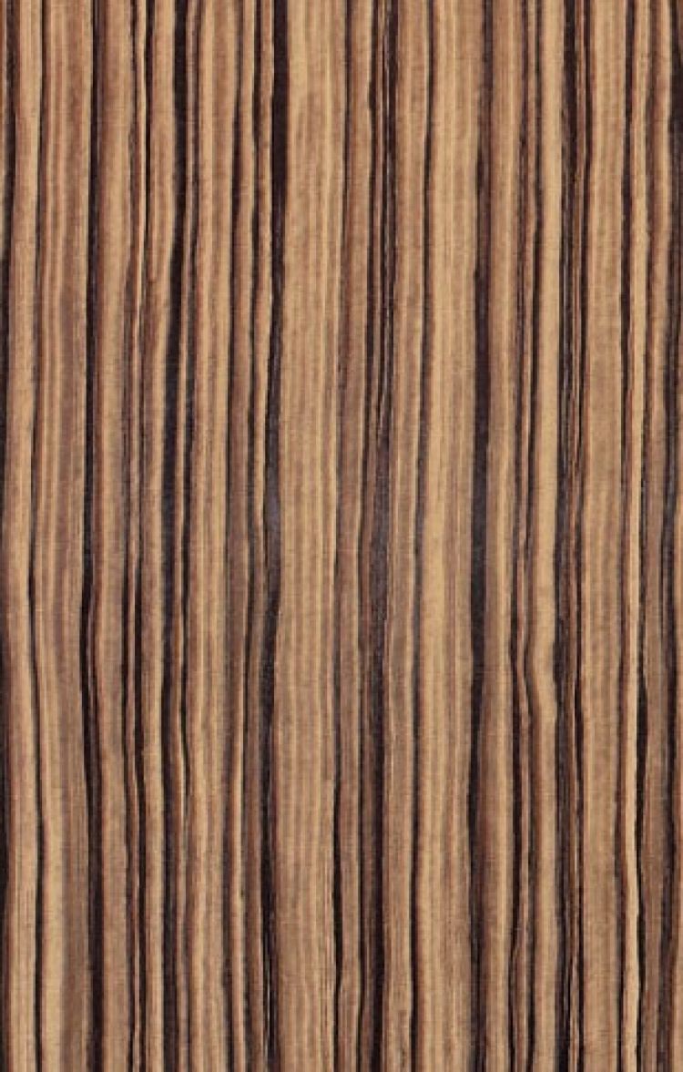 罗马利奥木纹砖c99858p