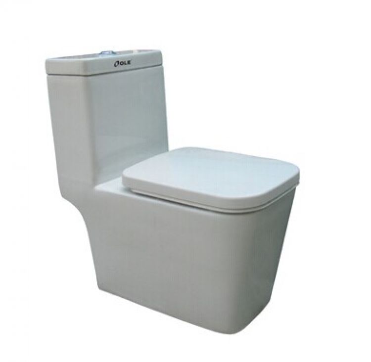 欧联智能座便器t1002ab