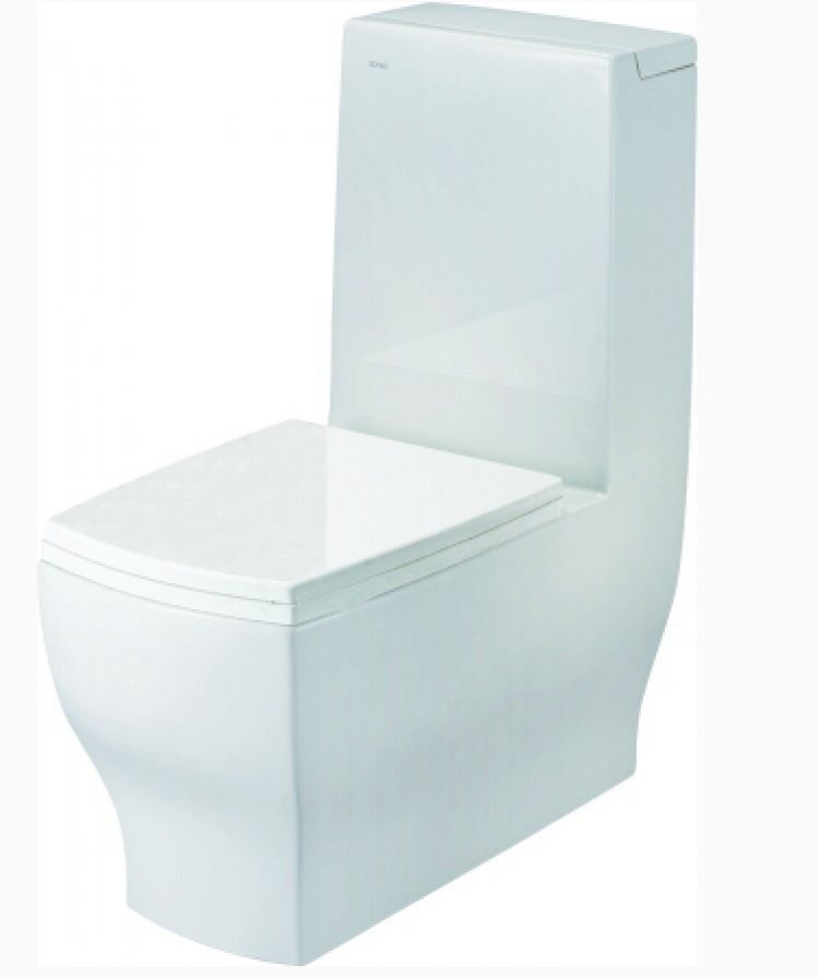 杜菲尼坐便器db1926