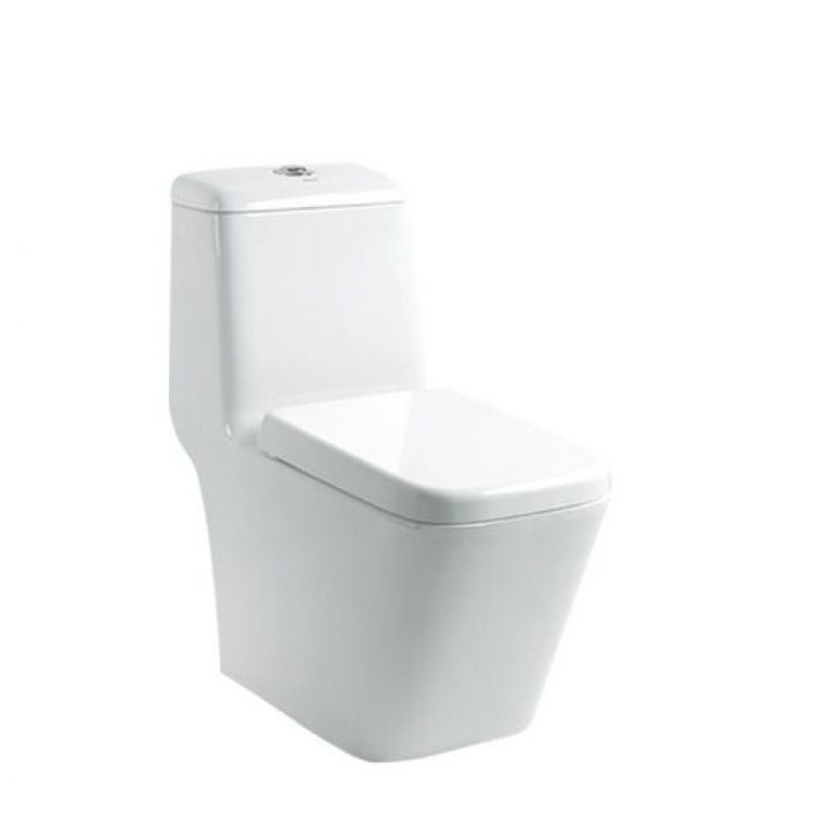 都龙坐便器dl-2427