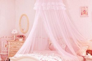 卧室设计和蚊帐床