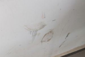 墙面污渍的清洁方法