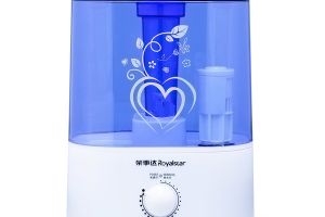 蒸汽加湿器