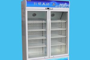 立式冰柜