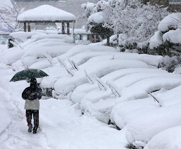 大雪节气养生食谱推荐