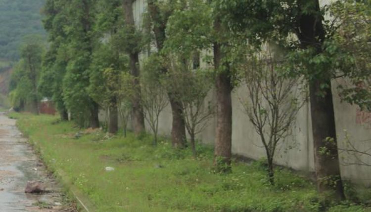锦绣香江花园
