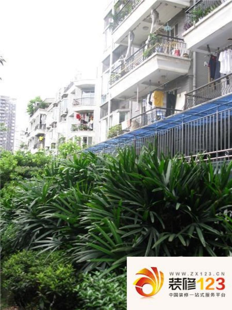 芳草地正版资料大全图片(芳草地正版资料大全图片阴)