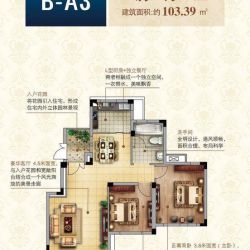 蓉湖山水户型图B-A3 