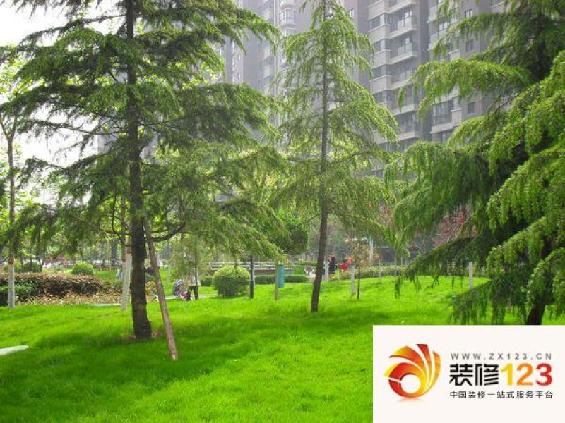 江林新城实景图 外景图.