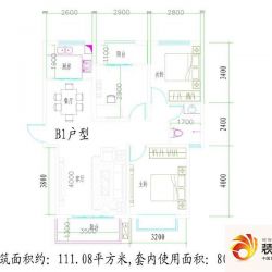 泰瑞龙都国际户型图B1户型 3室2 ...