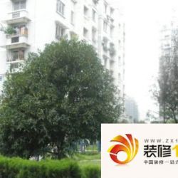 近江八园实景图