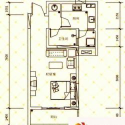 呈龙国际47平米户型户型图 ...