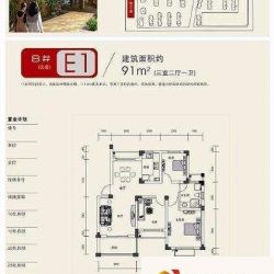 永安圆乡名筑E1户型户型图 ...