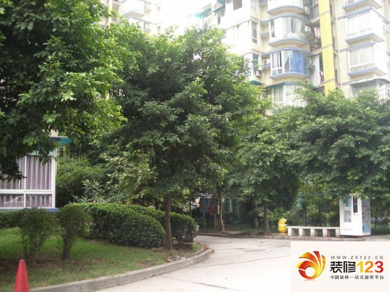 重庆小天鹅花园小天鹅花园外景图图片大全-我的小区-重庆装信通网