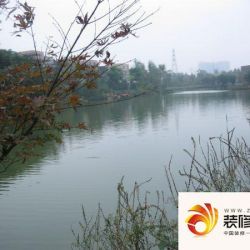 华侨城纯水岸208区实景图