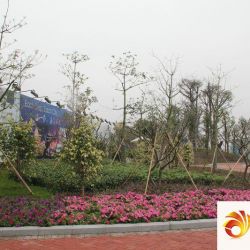 中国铁建荔湾国际城实景图