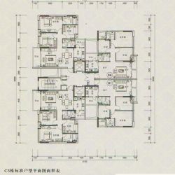 丽和华庭户型图C5栋平面图  ...